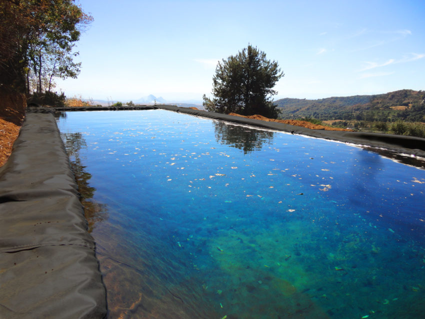 Estanques Piscícolas